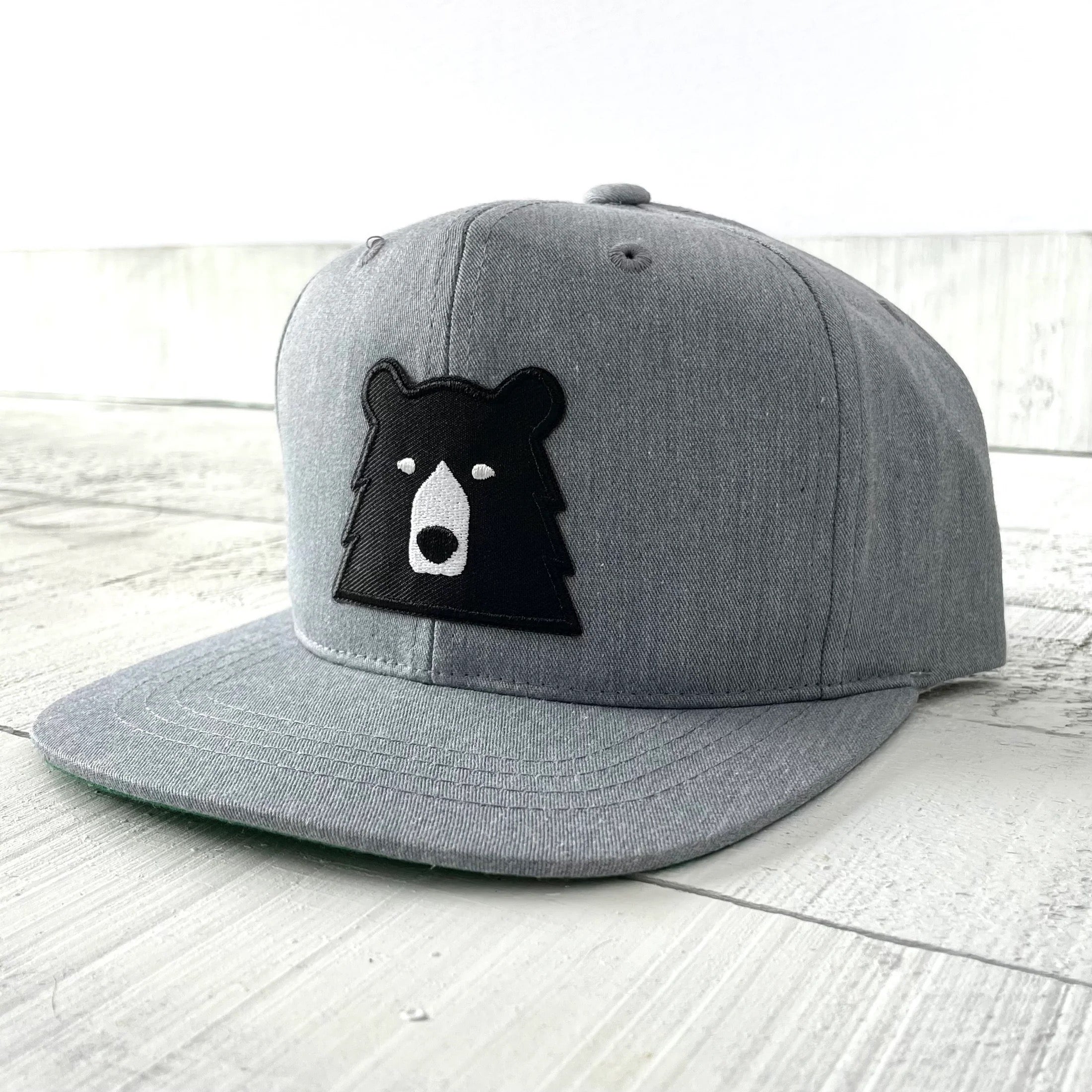 North Standard Youth Snapback