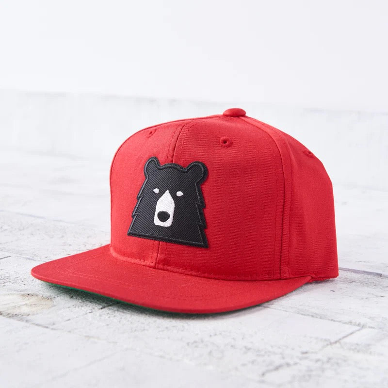 North Standard Youth Snapback