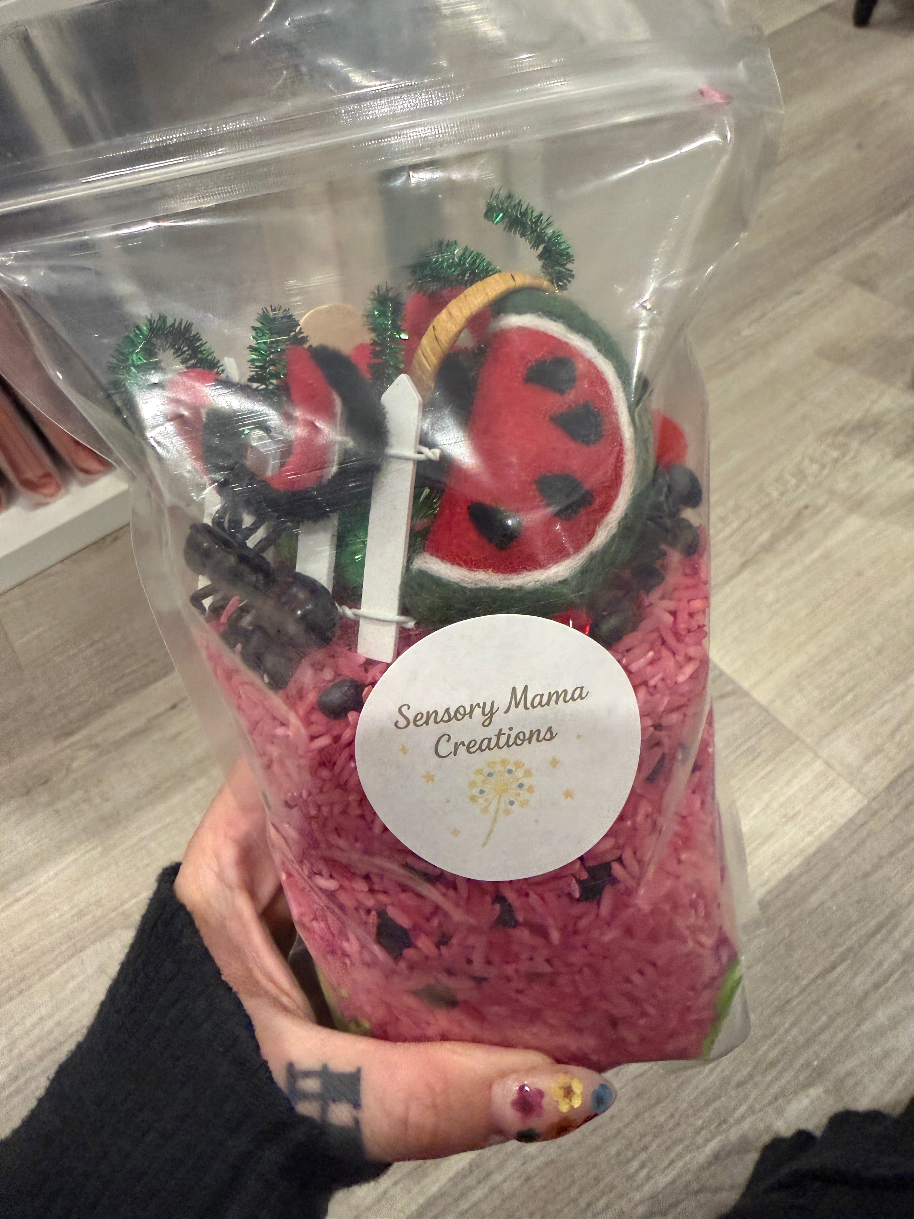 Dump & Discover Sensory Rice Bags